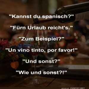 fun-Bild: Sprach-Talent beim Weinschoppen