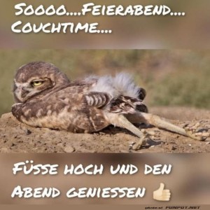 fun-Bild: Eule im Feierabendmodus: Einfach mal abh&auml;ngen!