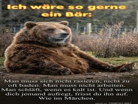 Warum ein B�r das beste Leben hat