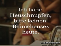 Ich habe Heuschnupfen