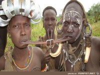 Picdump 466 21 -zusammen