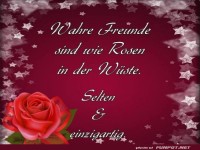Wahre Freunde