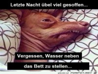 Letzte Nacht �bel viel gesoffen
