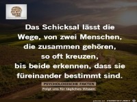 Das Schicksal