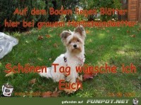 Auf dem Boden liegen Bl&auml;tter hier bei grauem Herbstwind