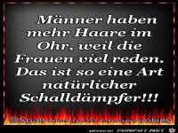 Schalld�mpfer