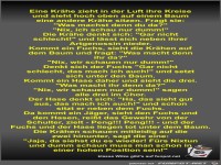 Eine Kr�he zieht in der Luft ihre Kreise und sieht hoch...