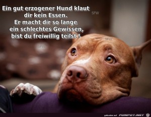 gut-erzogener-Hund.jpg auf www.funpot.net