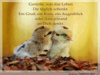 Genieße, was das Leben dir täglich schenkt