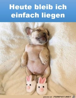 Heute-bleib-ich-einfach-liegen.jpg auf www.funpot.net
