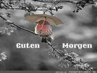 Guten Morgen