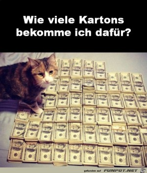 Ich-will-Kartons.jpg auf www.funpot.net