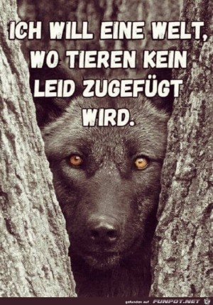 Das-wre-schn.jpg auf www.funpot.net