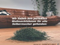 Weihnachtsbaum f�r Bastler