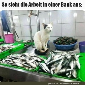 Wie-die-Arbeit-bei-der-Bank.jpg auf www.funpot.net