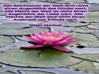 alle reicht�mer der welt