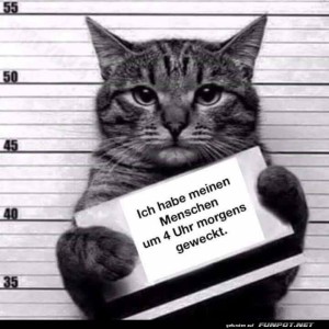 Schuldig.jpg auf www.funpot.net