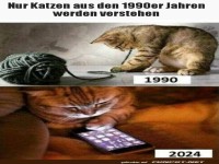Katzen fr�her und heute