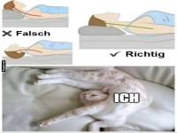 Schlafpositionen mit einem lustigen Twist