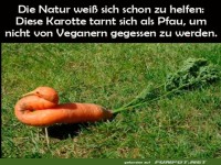 Kreative Karotte mit Tarnung