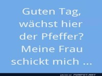 Pfeffersuche - Der Ehewahnsinn beginnt!