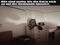 Der Knig der Kommode