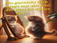 Spieglein, Spieglein an der Wand, wer ist der Flauschigste?