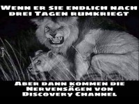 Das nervt