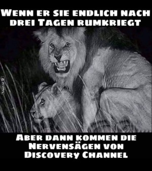 Das-nervt.jpg auf www.funpot.net
