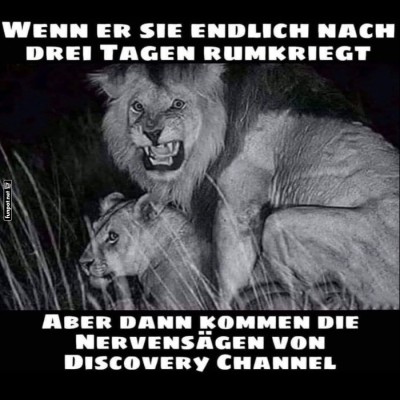 Das-nervt.jpg von Rennschnecke