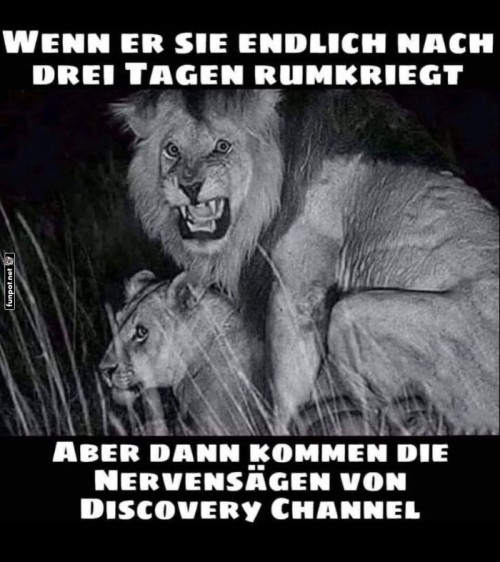 Das-nervt.jpg auf www.funpot.net