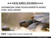 weiter