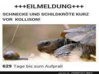 Langsame Abenteuer voraus!