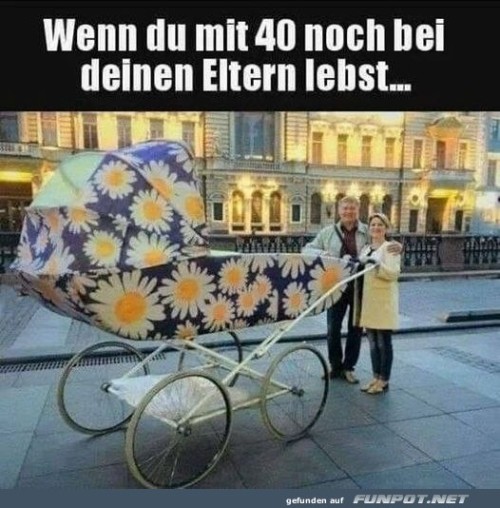 Erwachsenwerden-leicht-gemacht.jpg auf www.funpot.net