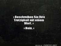 Die Kunst des charmanten Widerstands