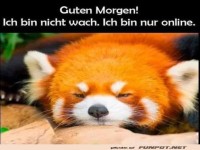 Schlafmodus oder Online-Modus? ?