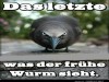 weiter