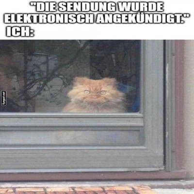 Wenn-du-auf-die-Lieferung-wartest-?.jpg von Josefin