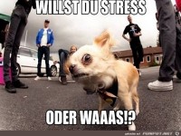 willst du Stress...