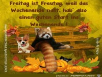 Freitag