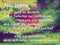 im leben geht es darum