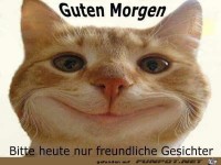 Guten morgen