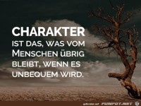 Charakter......