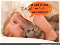 wundasche
