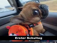 Der erste Schultag ist immer z�h