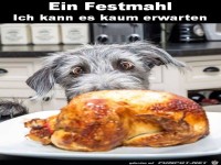 Was f�r ein Festmahl