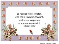 Es regnet viele Tropfen
