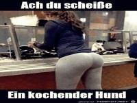 Ein kochender Hund