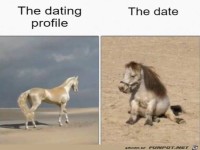 Profilbild und Realit�t