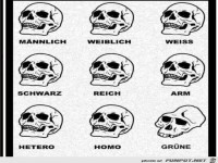 Gr�ne